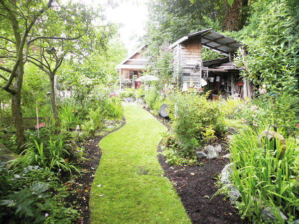 Learn how to create a wildlife sanctuary in your backyard | News |  