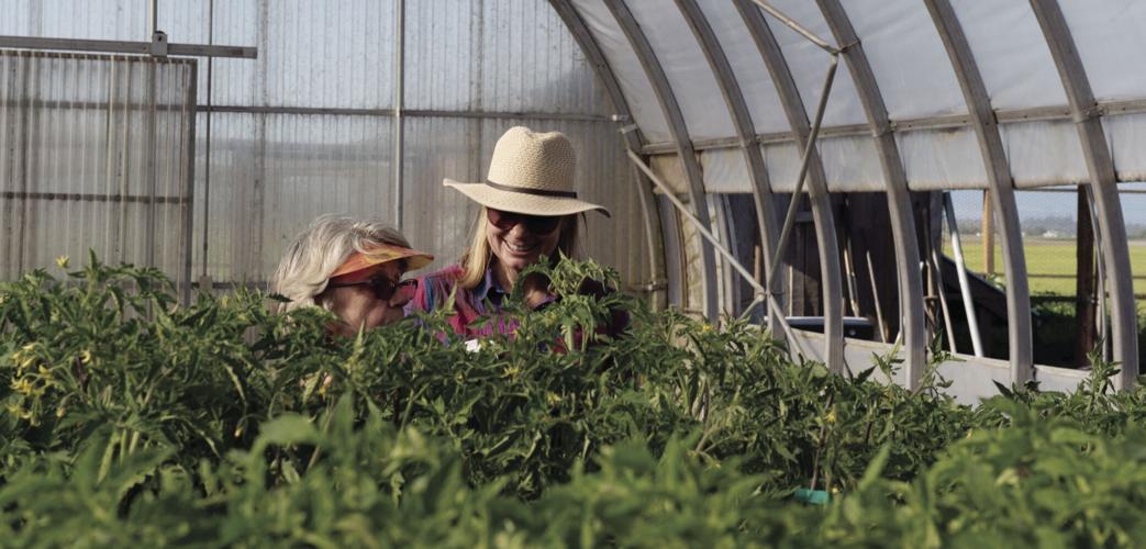 Thousands of plants to be available at Plant Fair | Growskagit ...