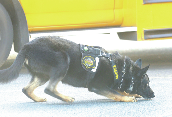 K-9s: Barking and biting to fight crime | All Access | goskagit.com