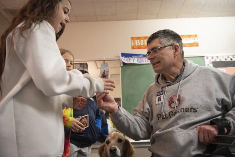 Local students benefitting from visits from therapy dogs | School ...