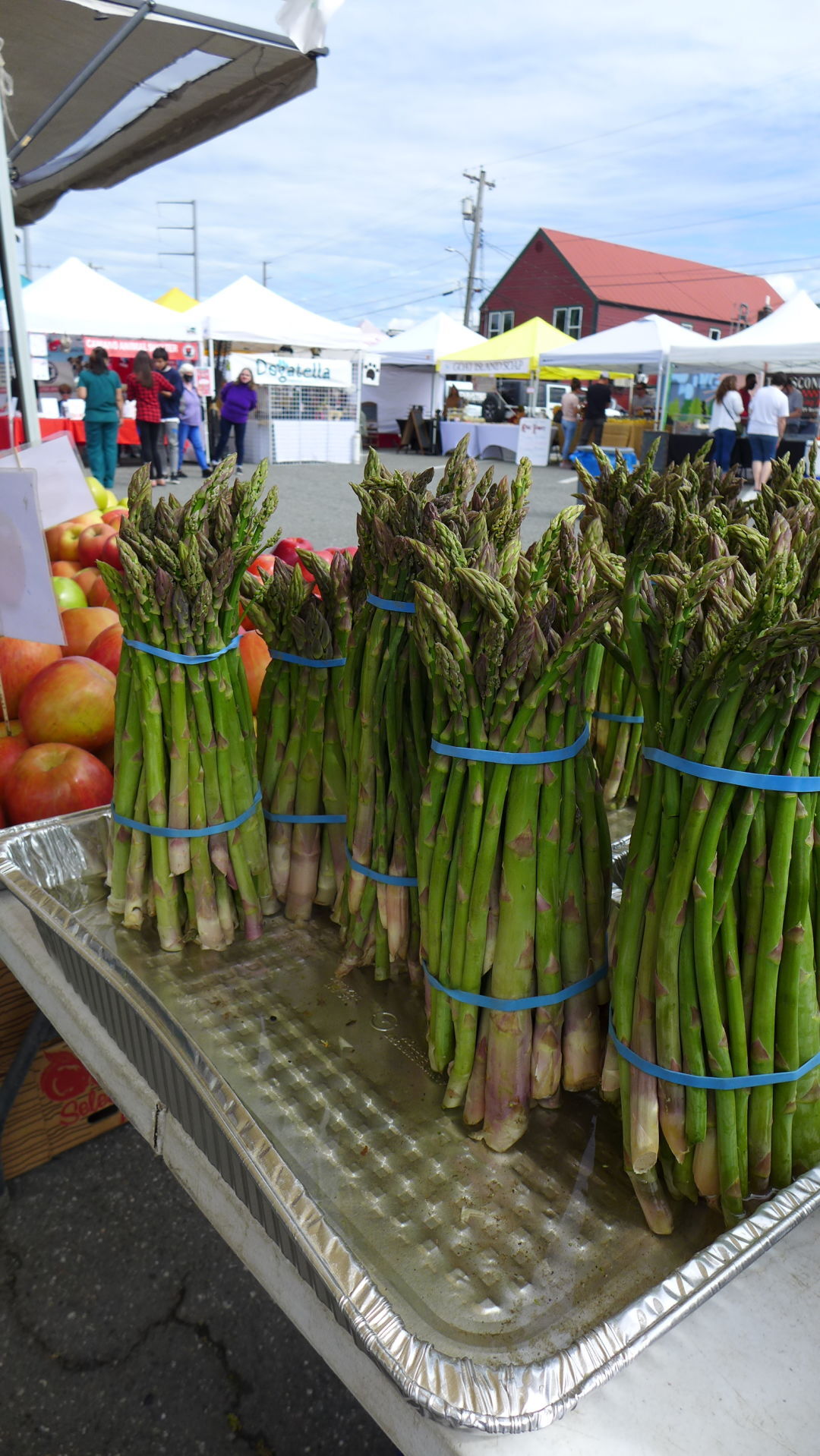 Stwd FM Asparagras makes the scene