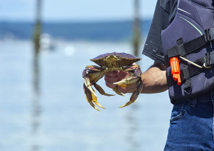 A busy Fourth More people flock to the area to celebrate holiday