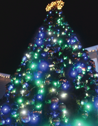 Anacortes Christmas Parade 2022 The Jolliest Season: Christmas Kicks Off In Anacortes | Arts And Community  | Goskagit.com