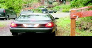 Missing Dog Trainer S Life A Tangle Of Contradictions News Goskagit Com