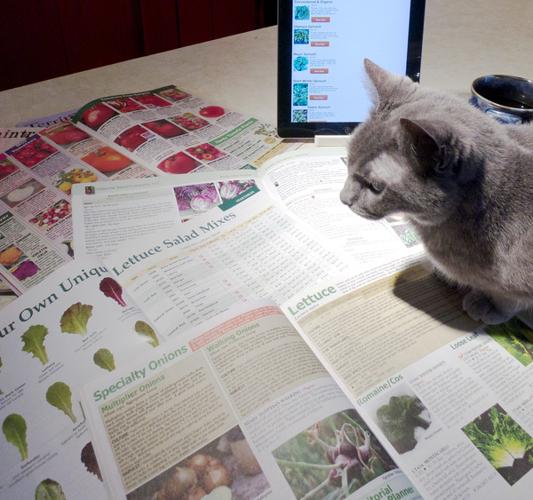 How to Read a Seed Catalog All Access