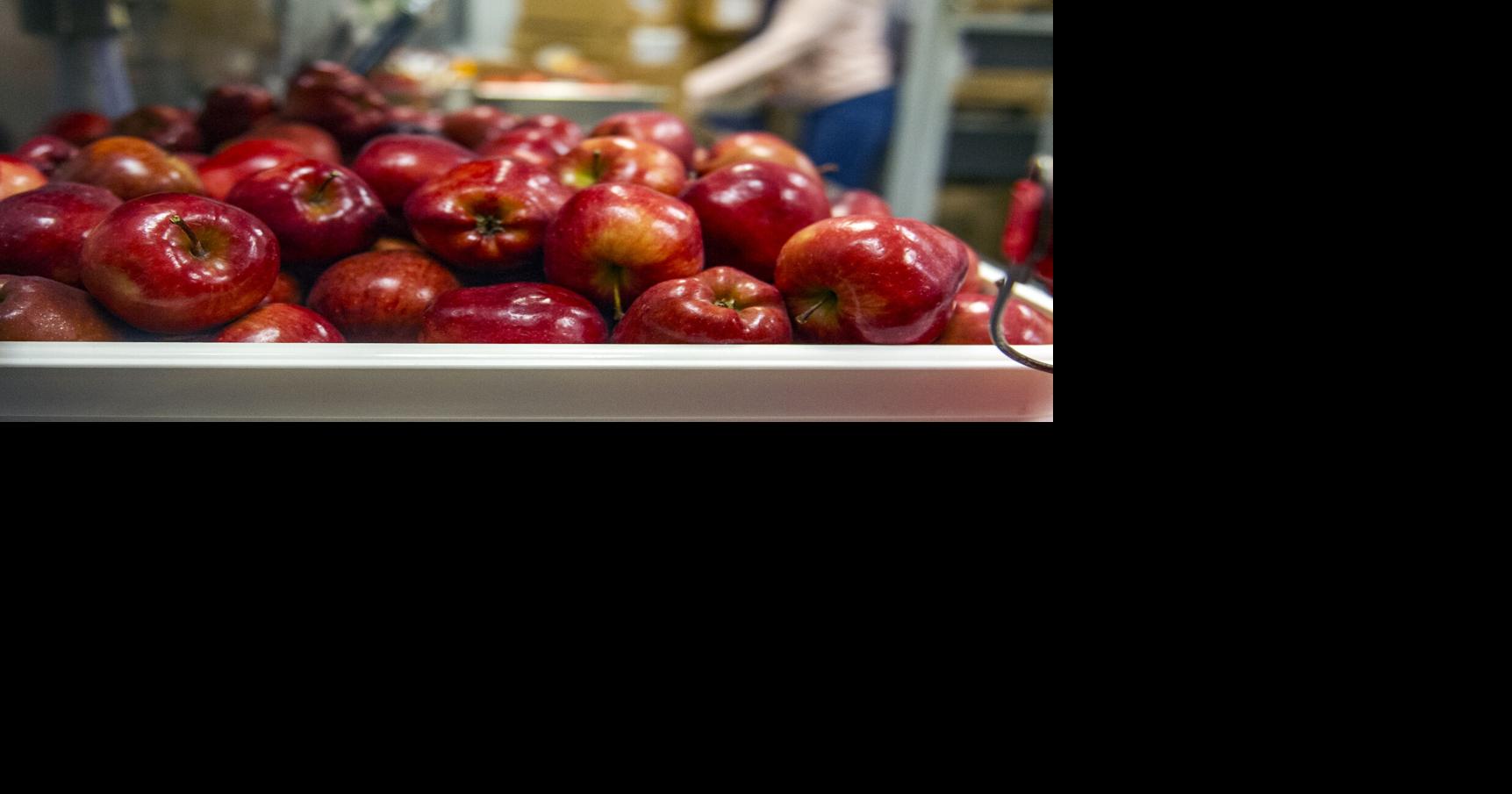 Free summer meals program available again this summer | SC News ...