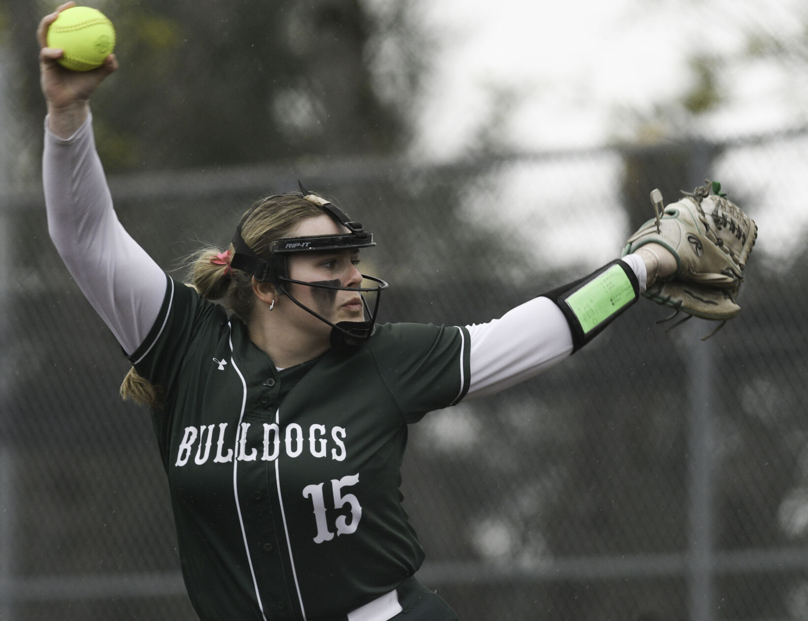 Mount Vernon High School softball team beaten by Monroe BVM Sports