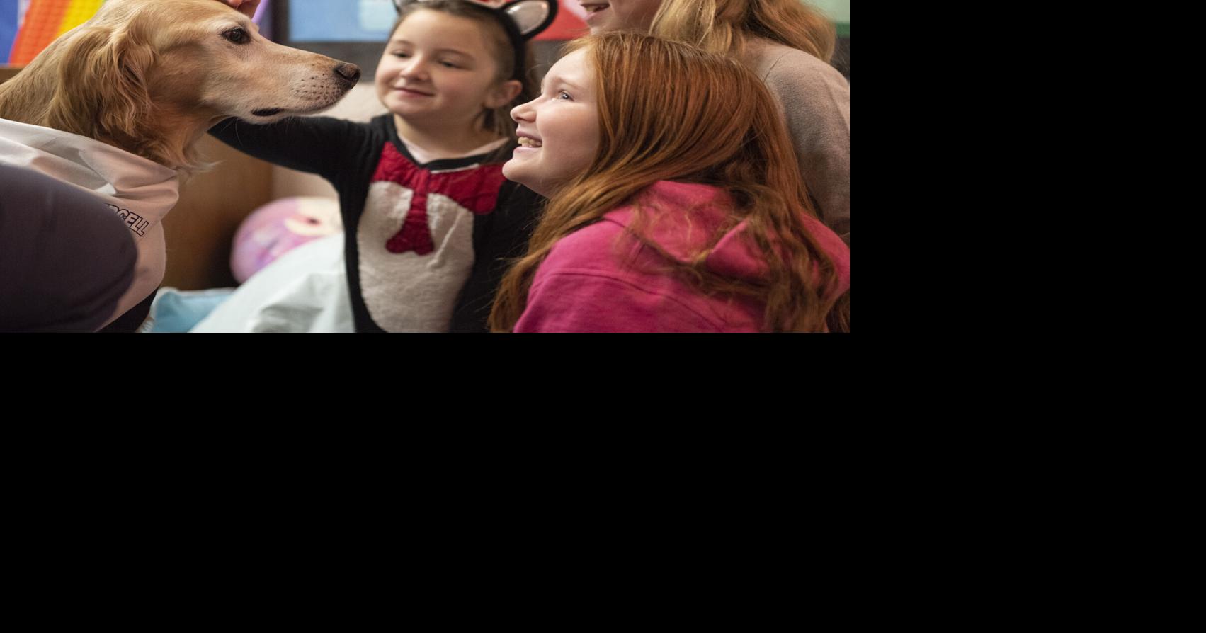 Local students benefitting from visits from therapy dogs | School ...