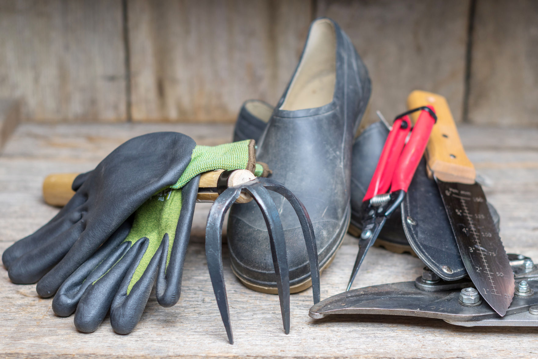 Master Gardener — Gifts for gardeners 