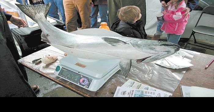 Anacortes Salmon derby canceled, All Access