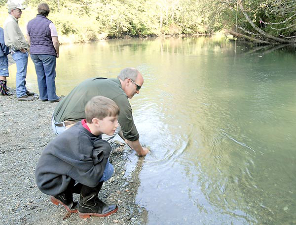 Saving a creek for the fish 