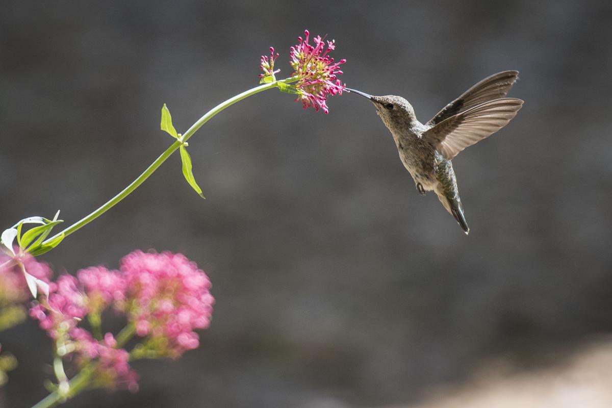 August Photos of the Month