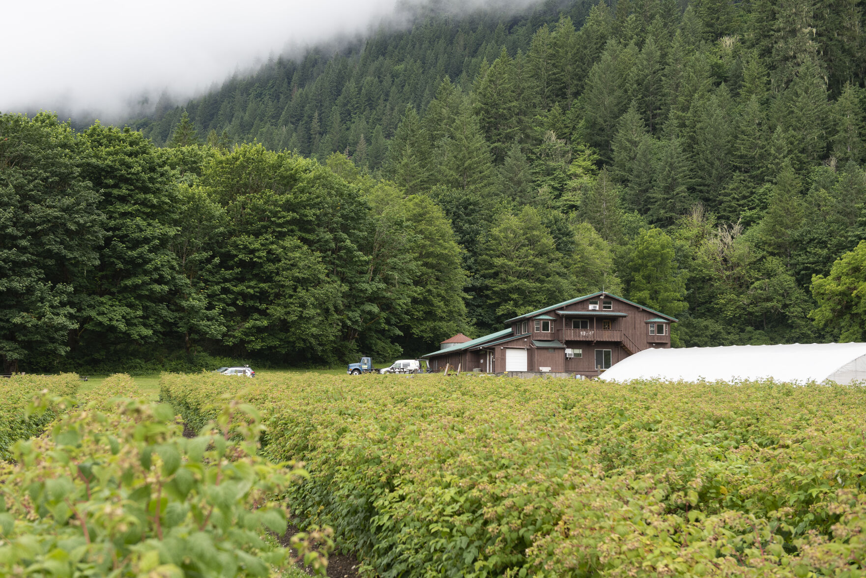 New Owner Of Cascadian Farm Wants It To Make It An Education Hub ...