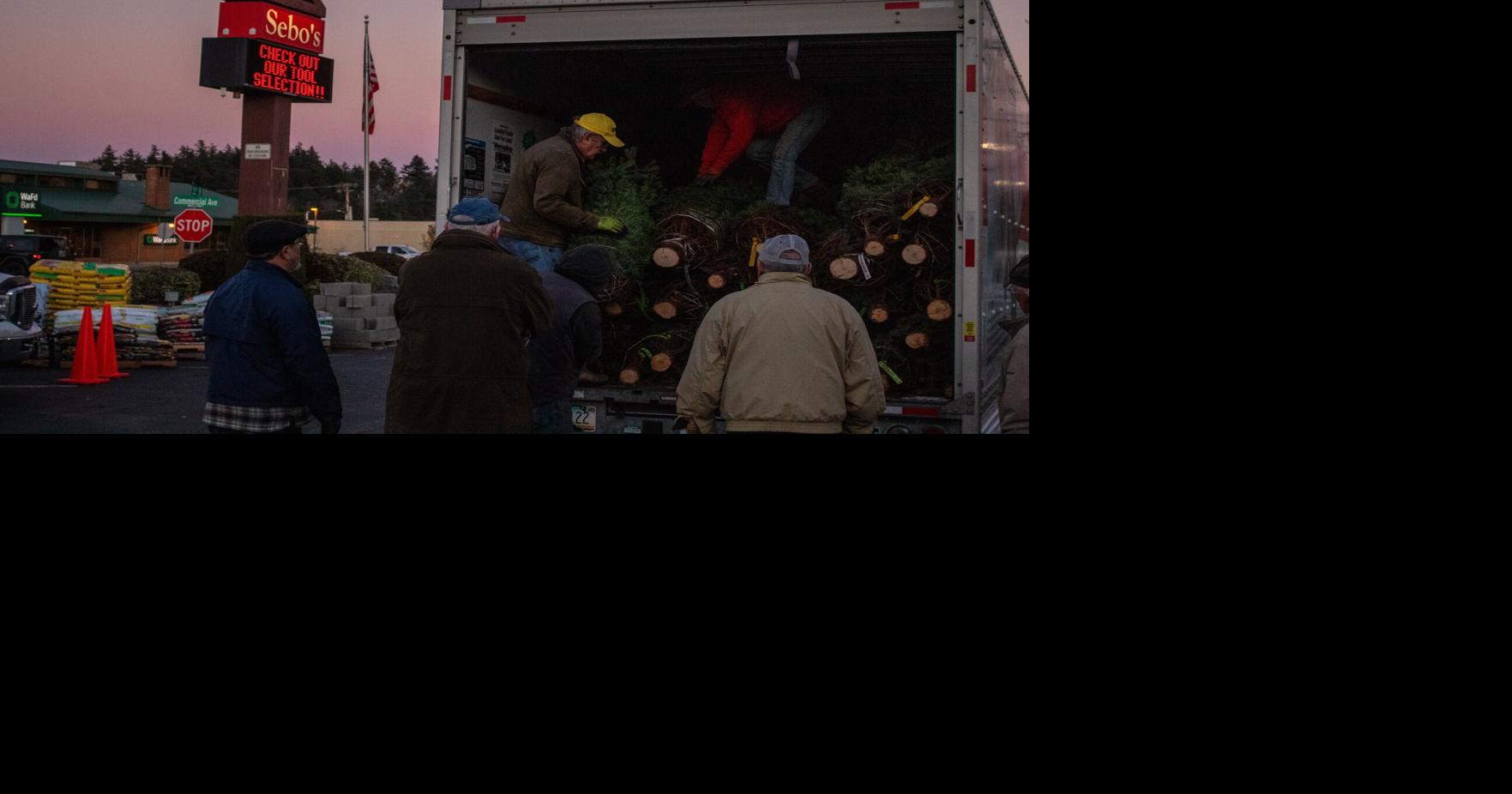 Kiwanis brings Christmas trees to Anacortes News