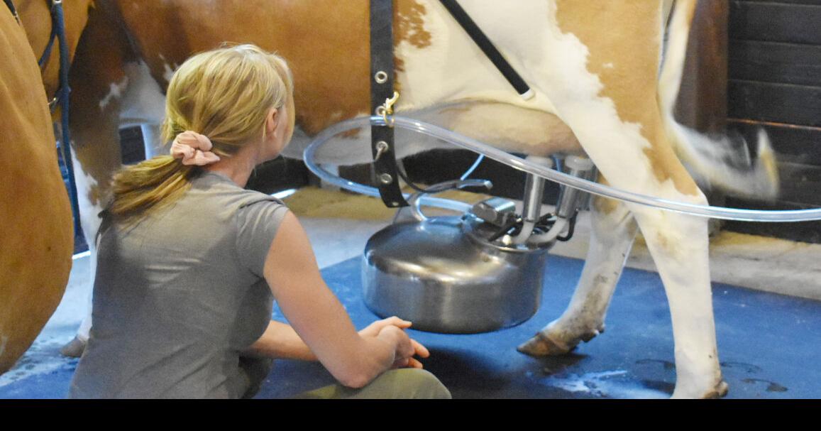 Dairy - Raw Milk - Gallon - MUST BE A COWSHARE OWNER