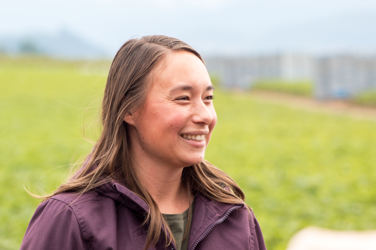 Diversity in strawberry farming showcased during Friday tour ...