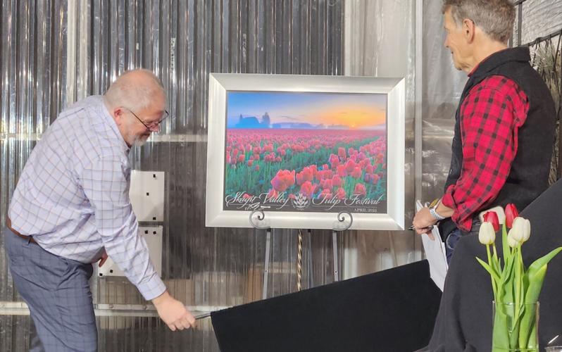 Skagit Valley Tulip Festival poster unveiled Growskagit