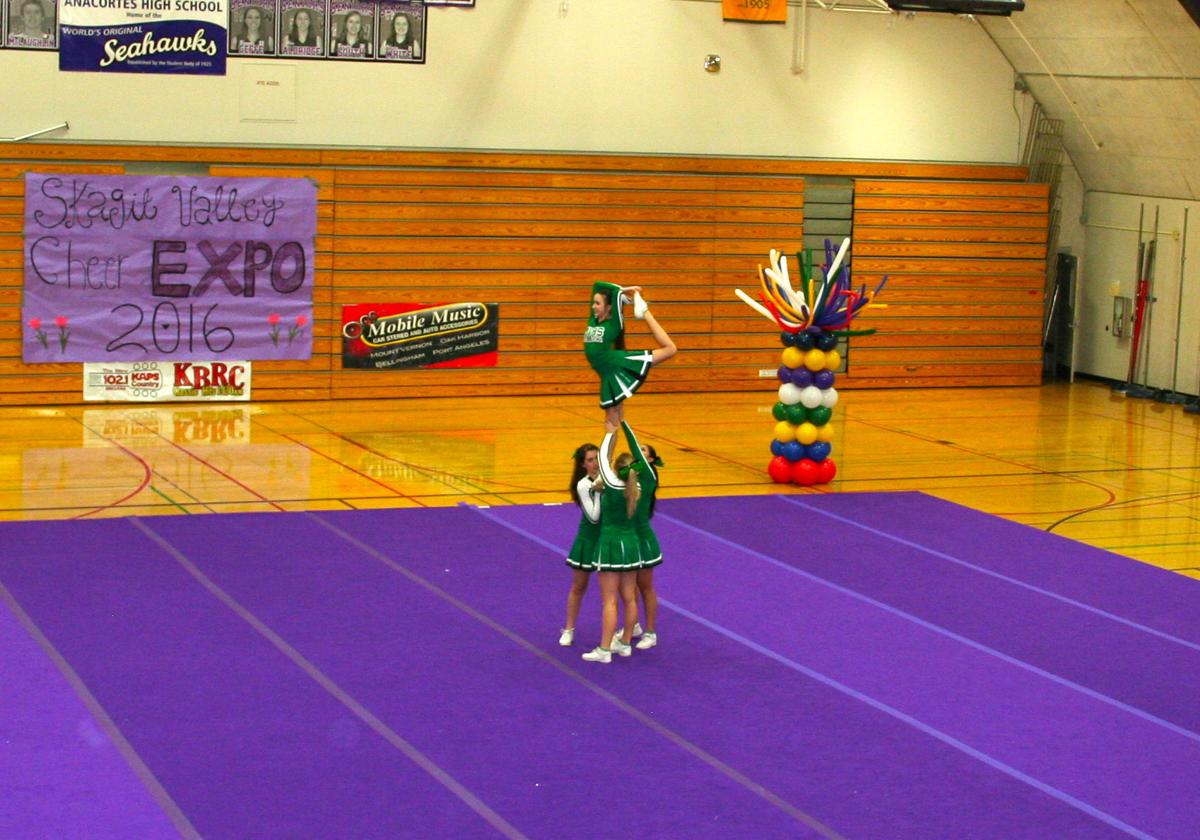 2016 Skagit County Cheer Exhibition Gallery