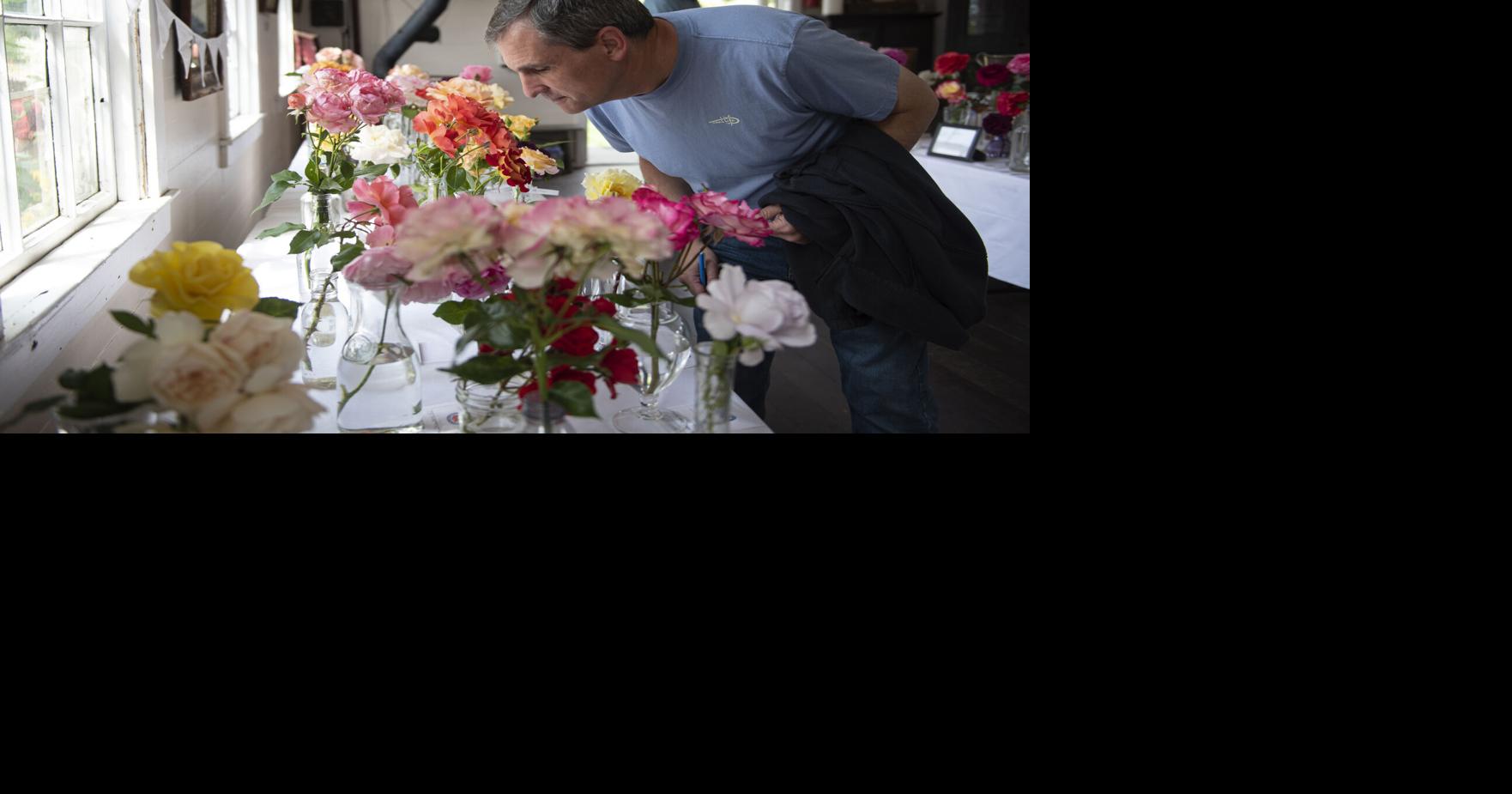 Rose enthusiasts gather for annual festival | Agriculture | goskagit.com