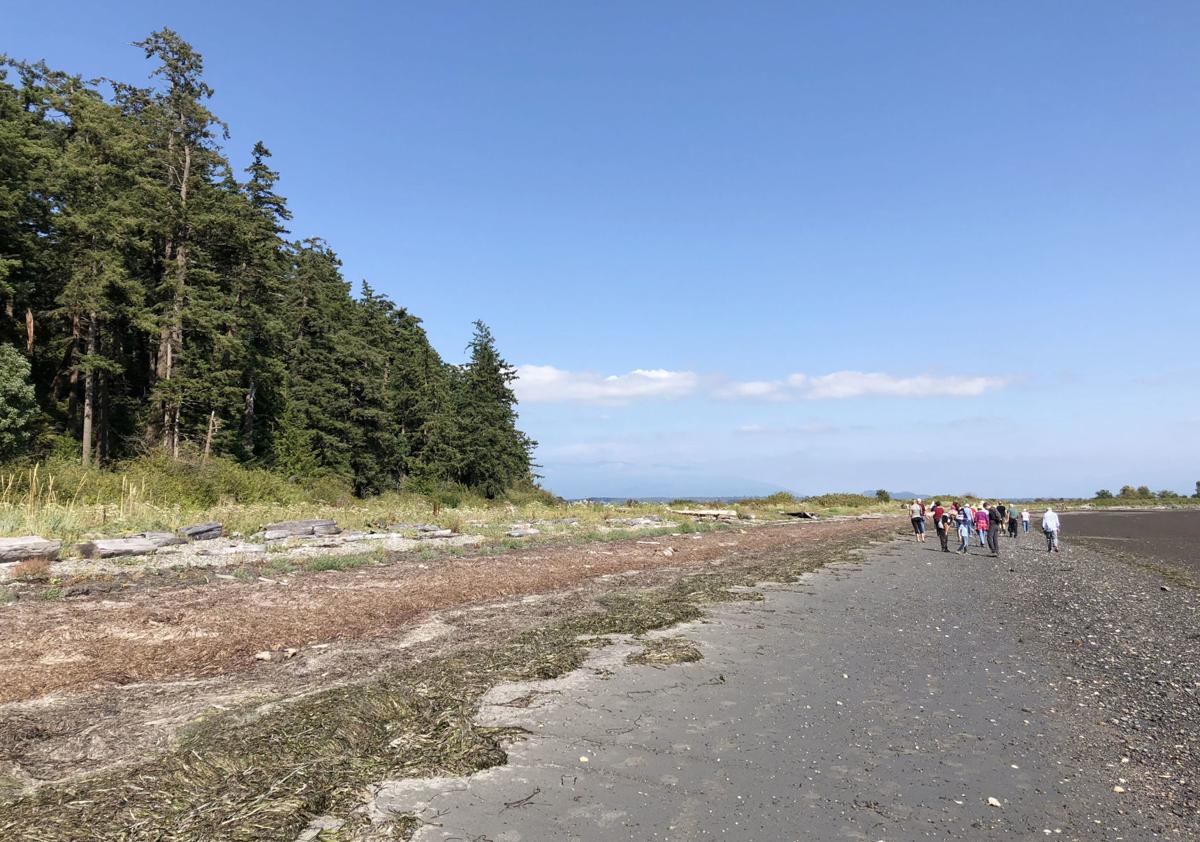 Land trust buys Samish Island property Local News