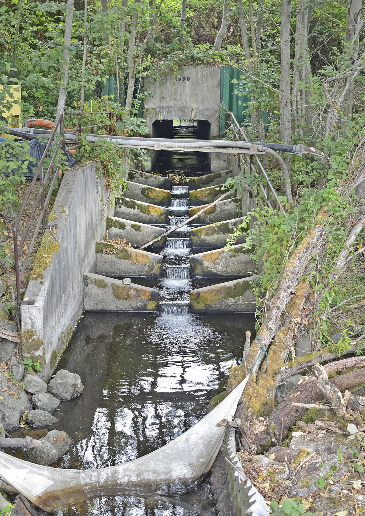 Fisher Creek To Flow Freely Come Fall News Goskagit Com