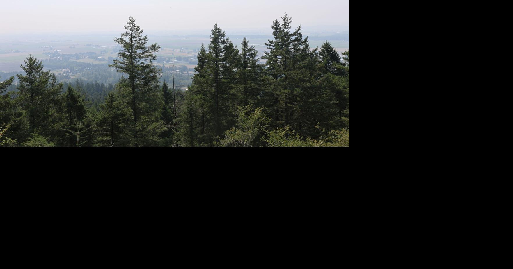 Air quality continues to degrade across Skagit County