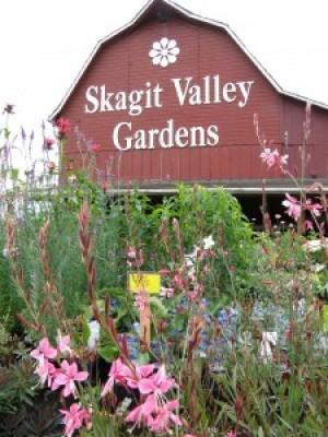 Skagit Valley Gardens Nurseries Garden Centers Mount Vernon
