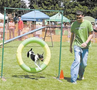 New events at Bark in the Park fest 