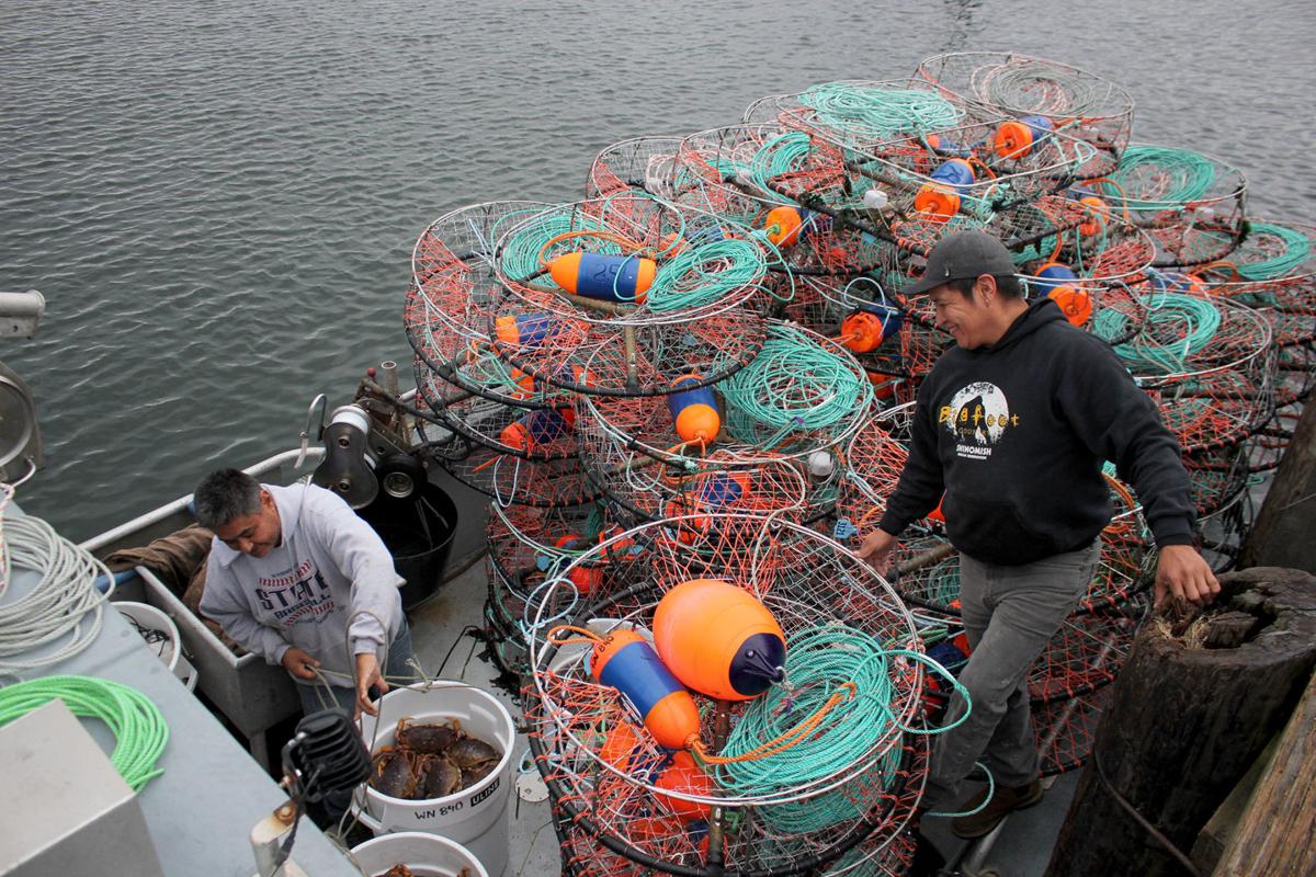 Commercial crabbers kick off season News