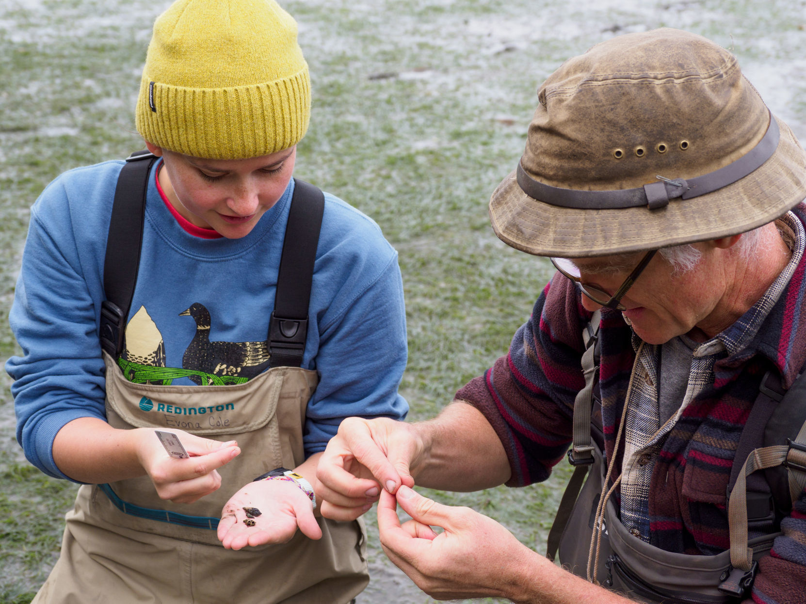 Researchers take new look at longtime non-native snails in Padilla