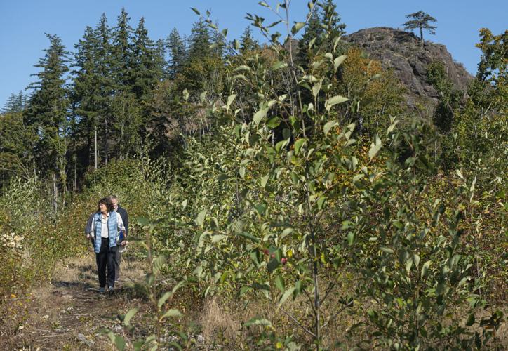 Big Rock County Park may finally become publicly accessible ...