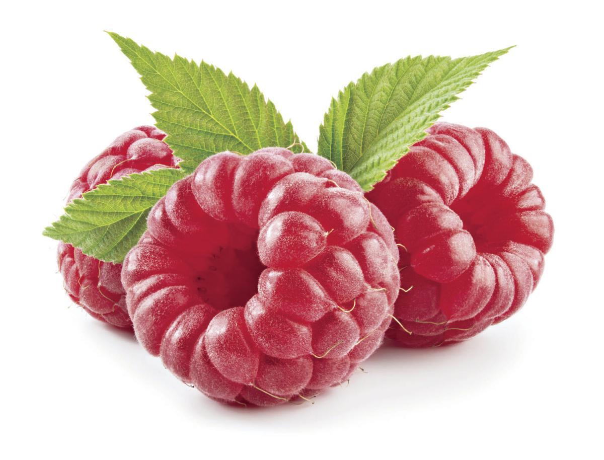 Raspberry Festival 2022 Lynden, Wa