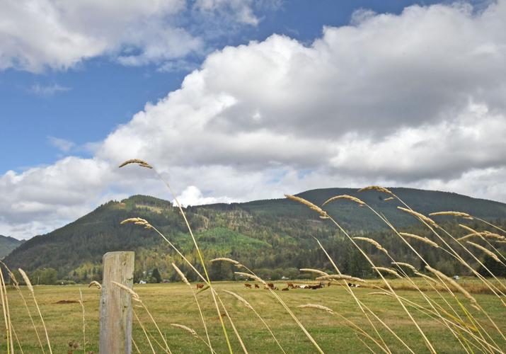 State to purchase land adjacent to Blanchard forest Local News