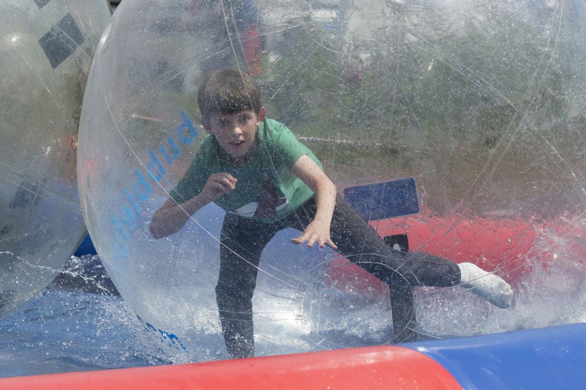 anacortes waterfront festival features something for