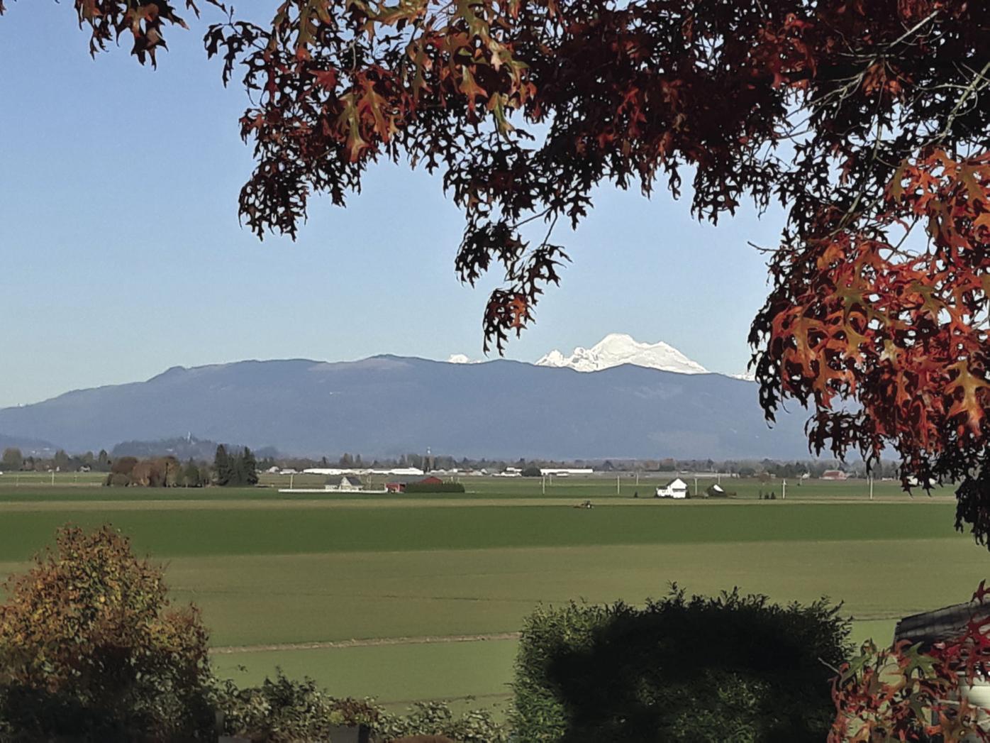 Skagit autumn by Therese Ogle