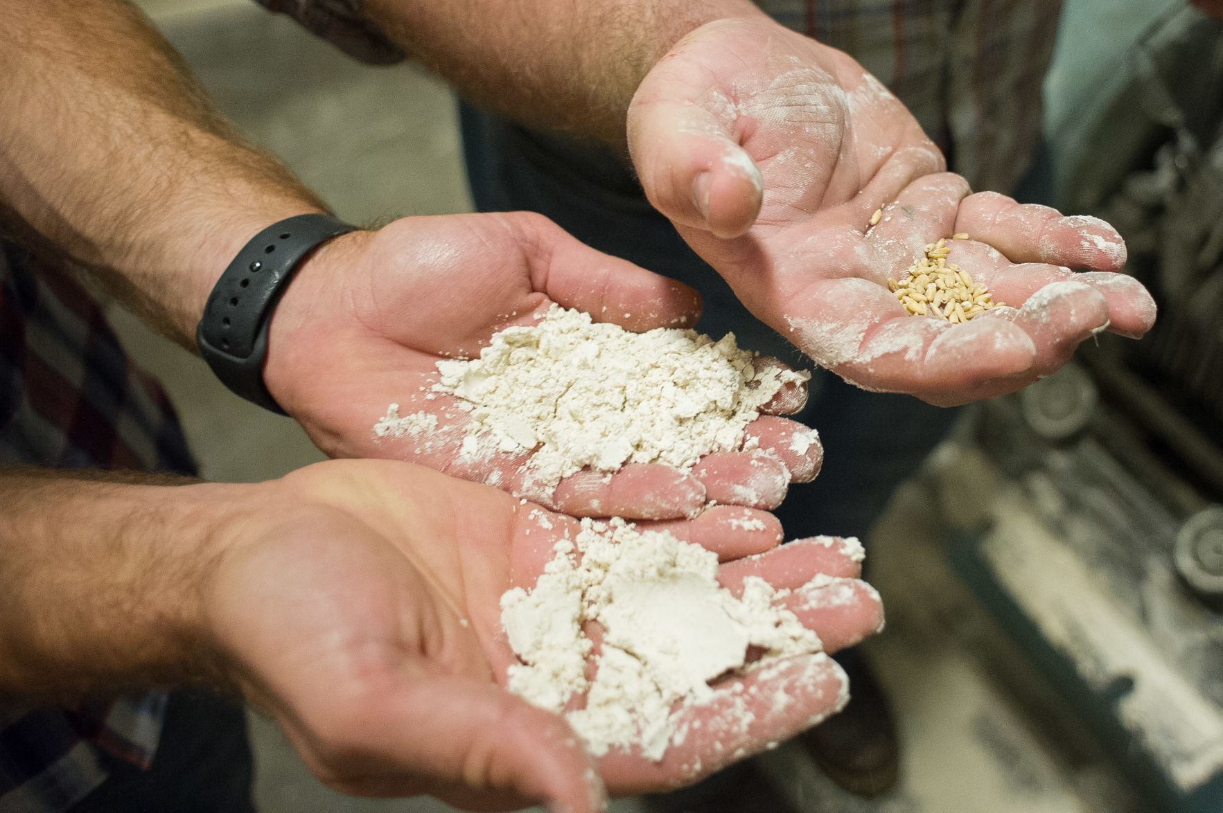 local mills selling flour