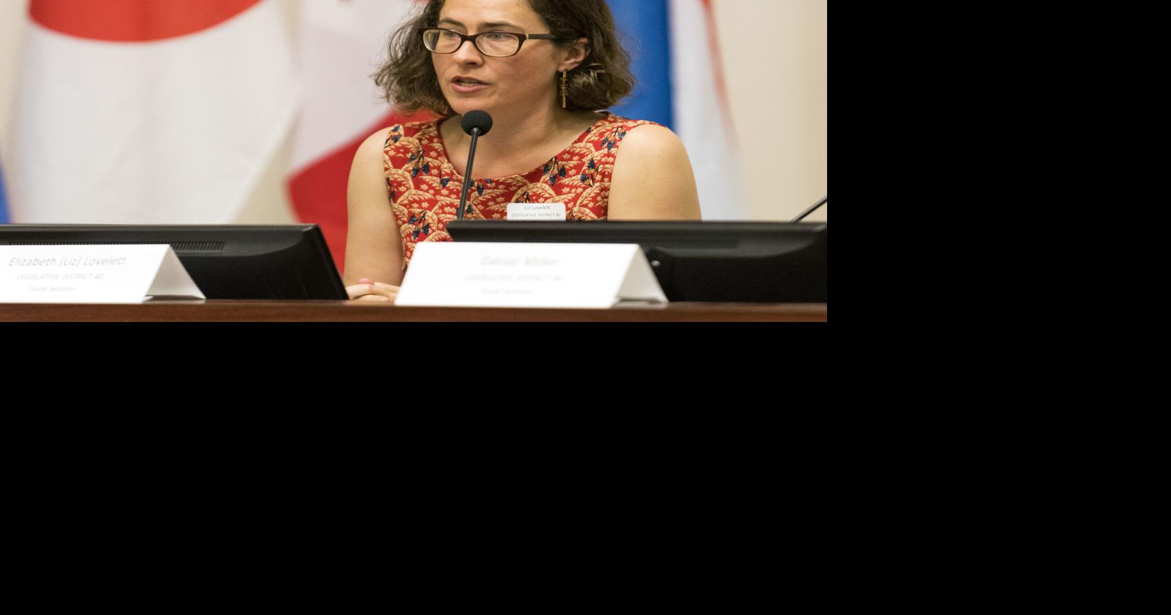 Lovelett wants further look at tax Local News