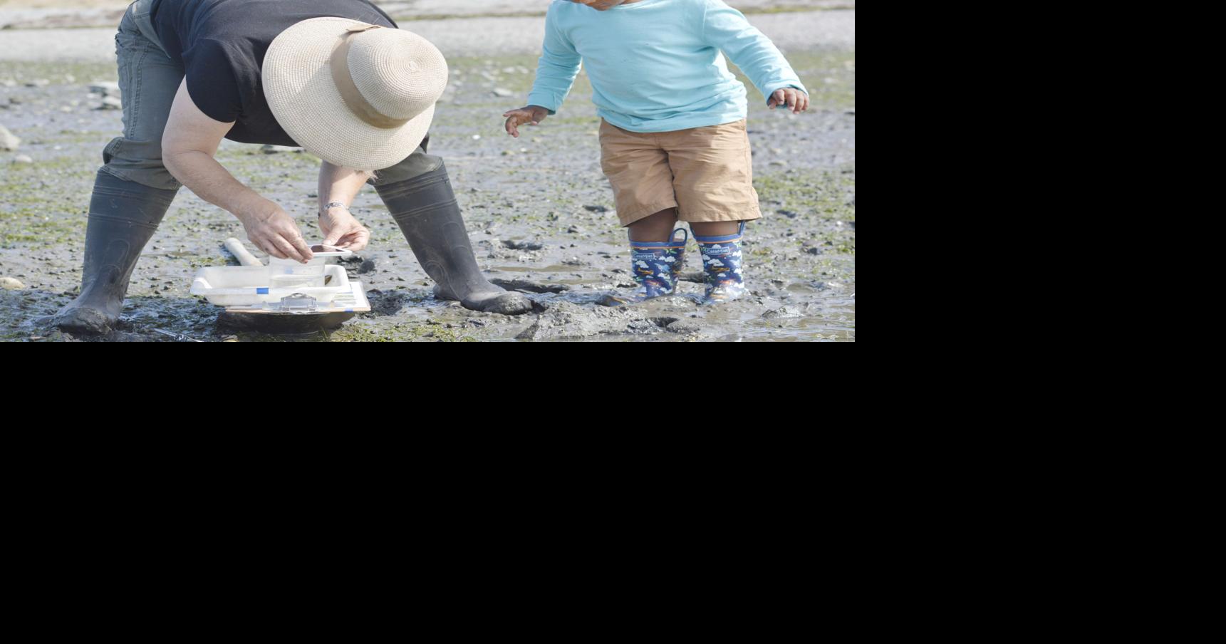 Families turn out to explore Padilla Bay at low tide Local News