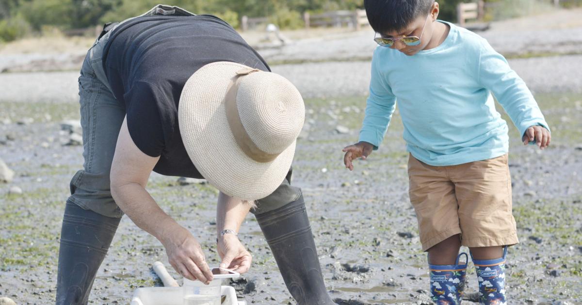 Families turn out to explore Padilla Bay at low tide Local News