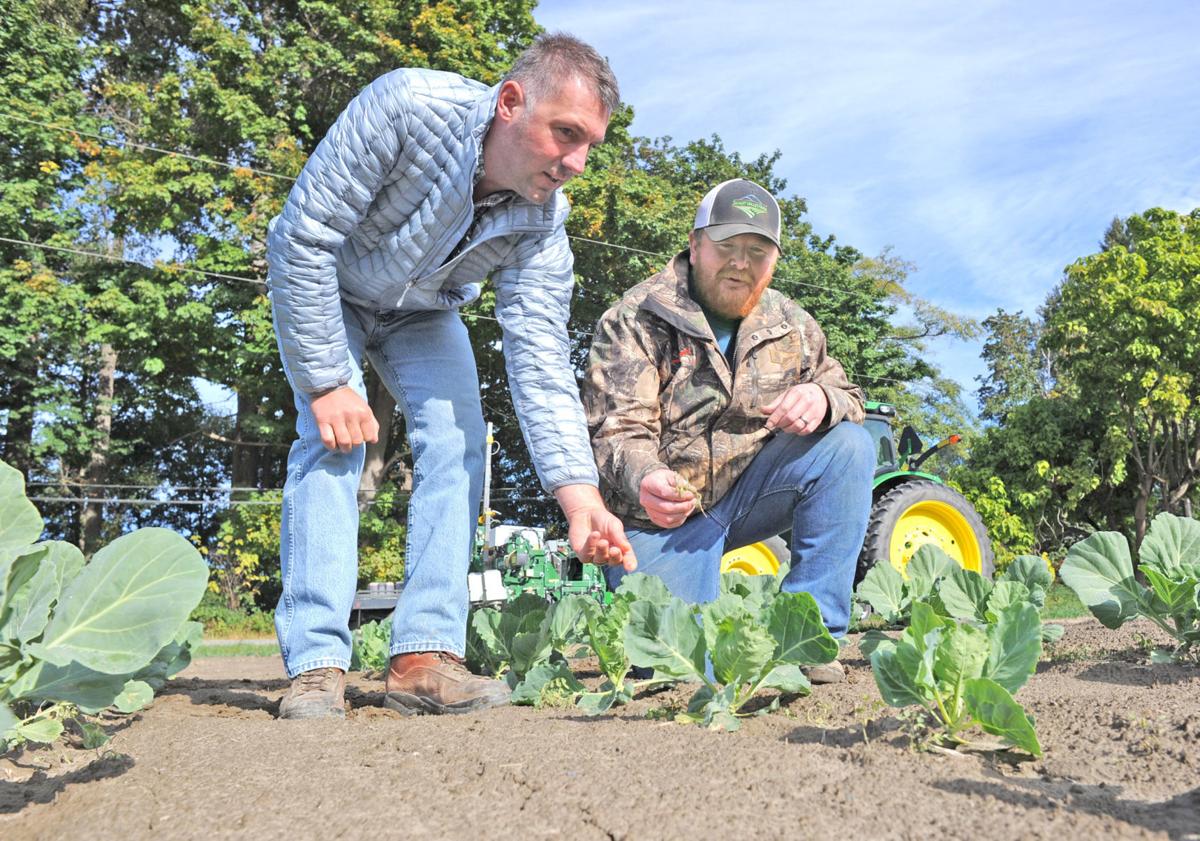 Skagit Valley Farms Utilizing New Technology Growskagit