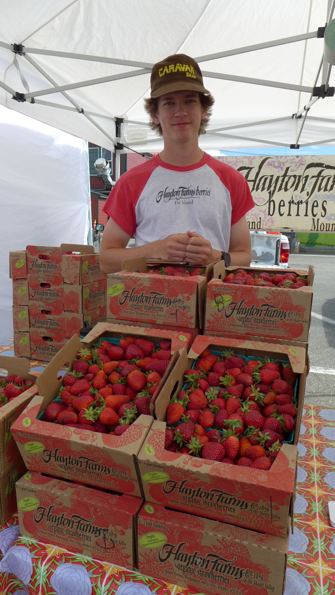 Stwd FM strawberries