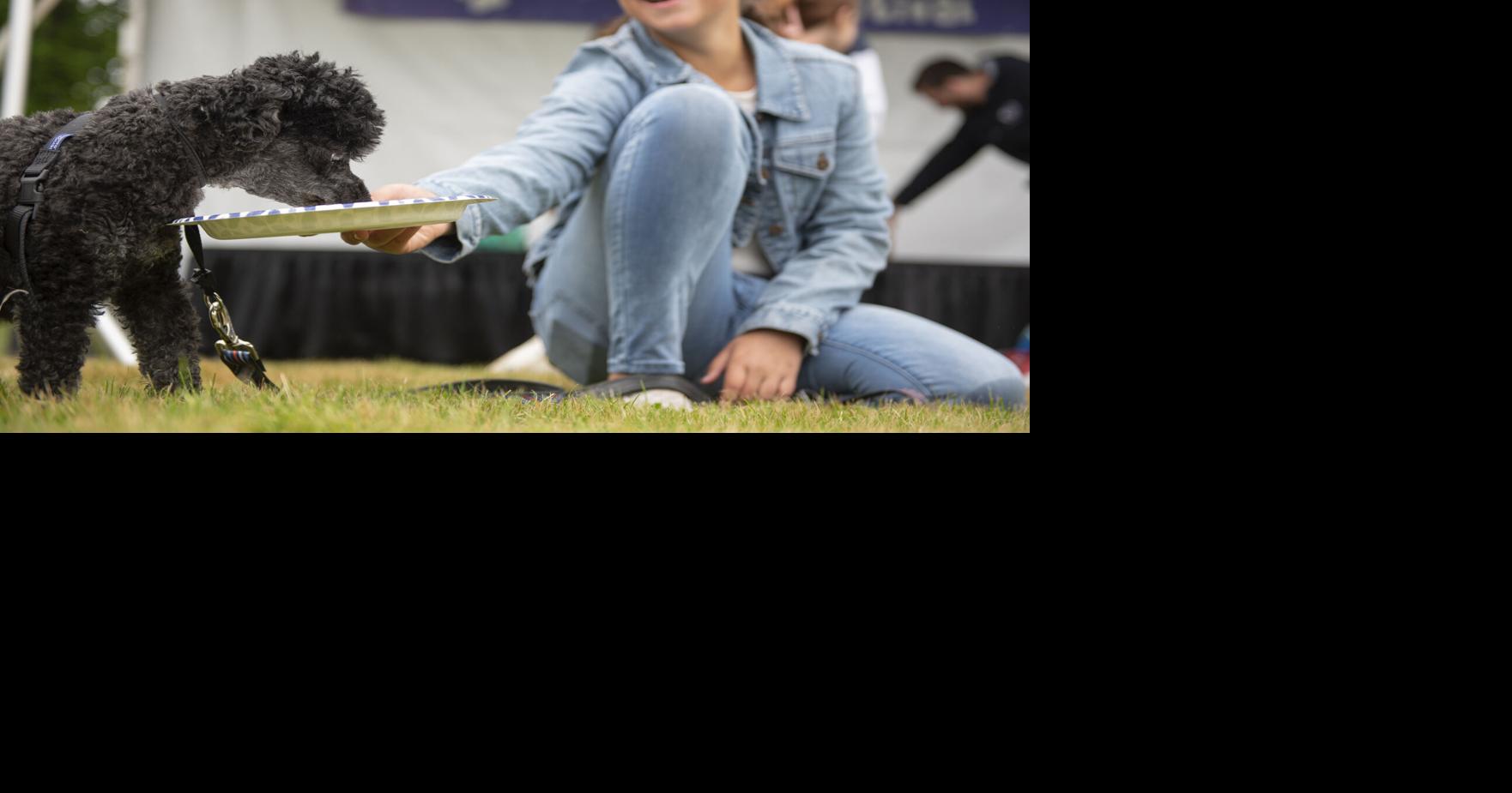 Anacortes hosts annual Bark in the Park Local News