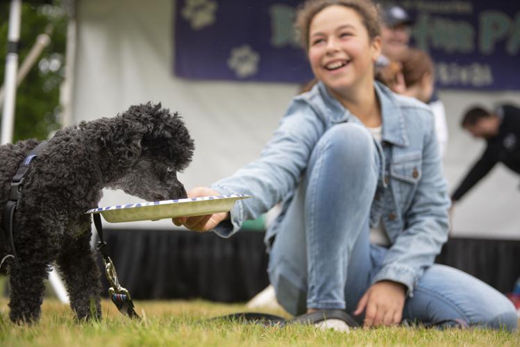 Anacortes hosts annual Bark in the Park Local News