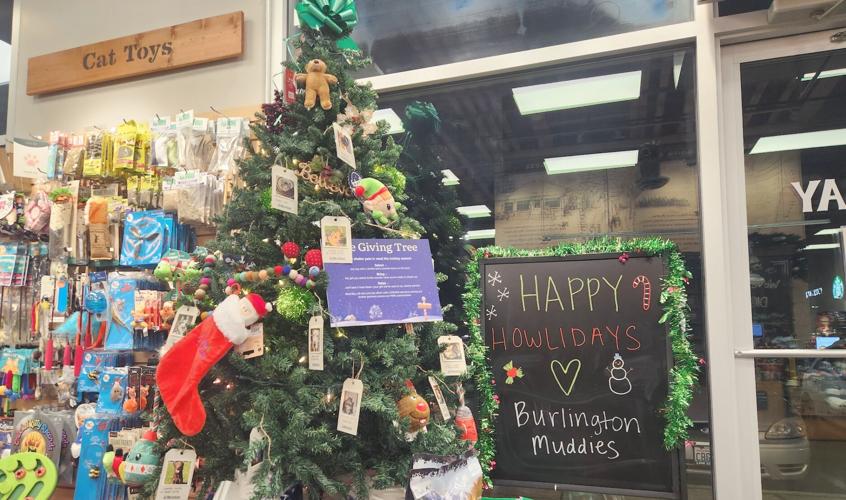 Mud Bay doing its part to help shelter animals | Local News | goskagit.com