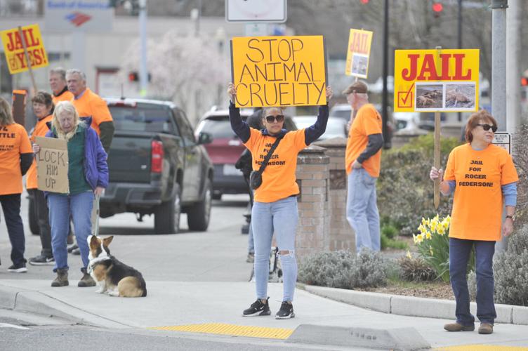 Demonstators call for jail time for man in animal cruelty case | Crime ...