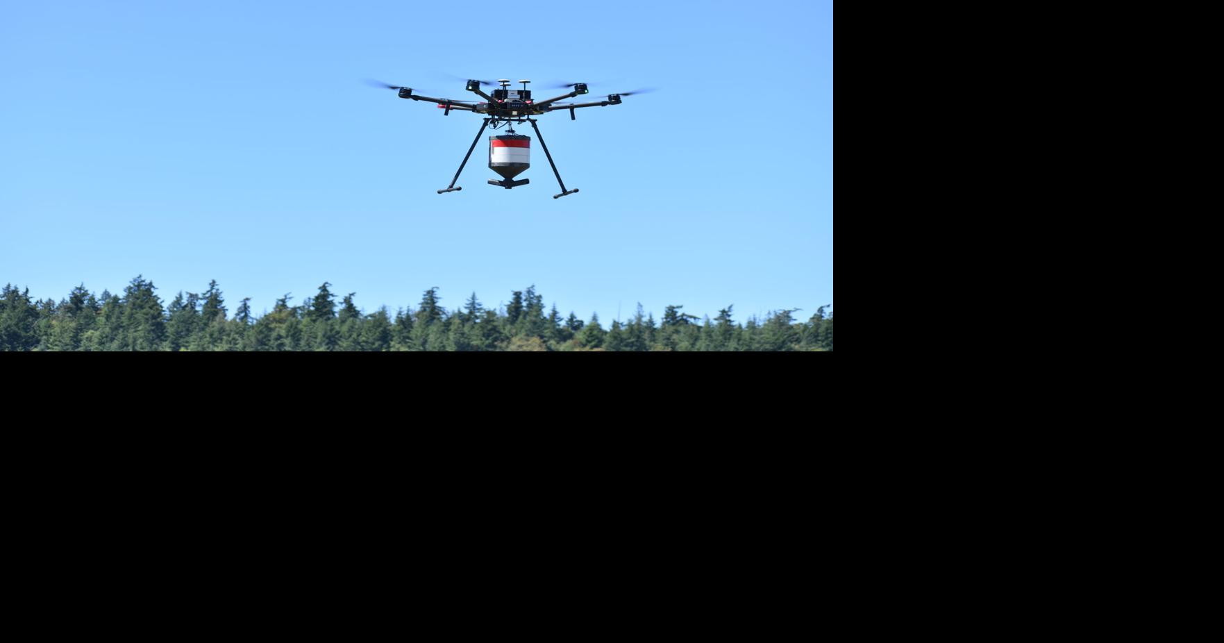 Camano's one-man mosquito control district works to research, mitigate