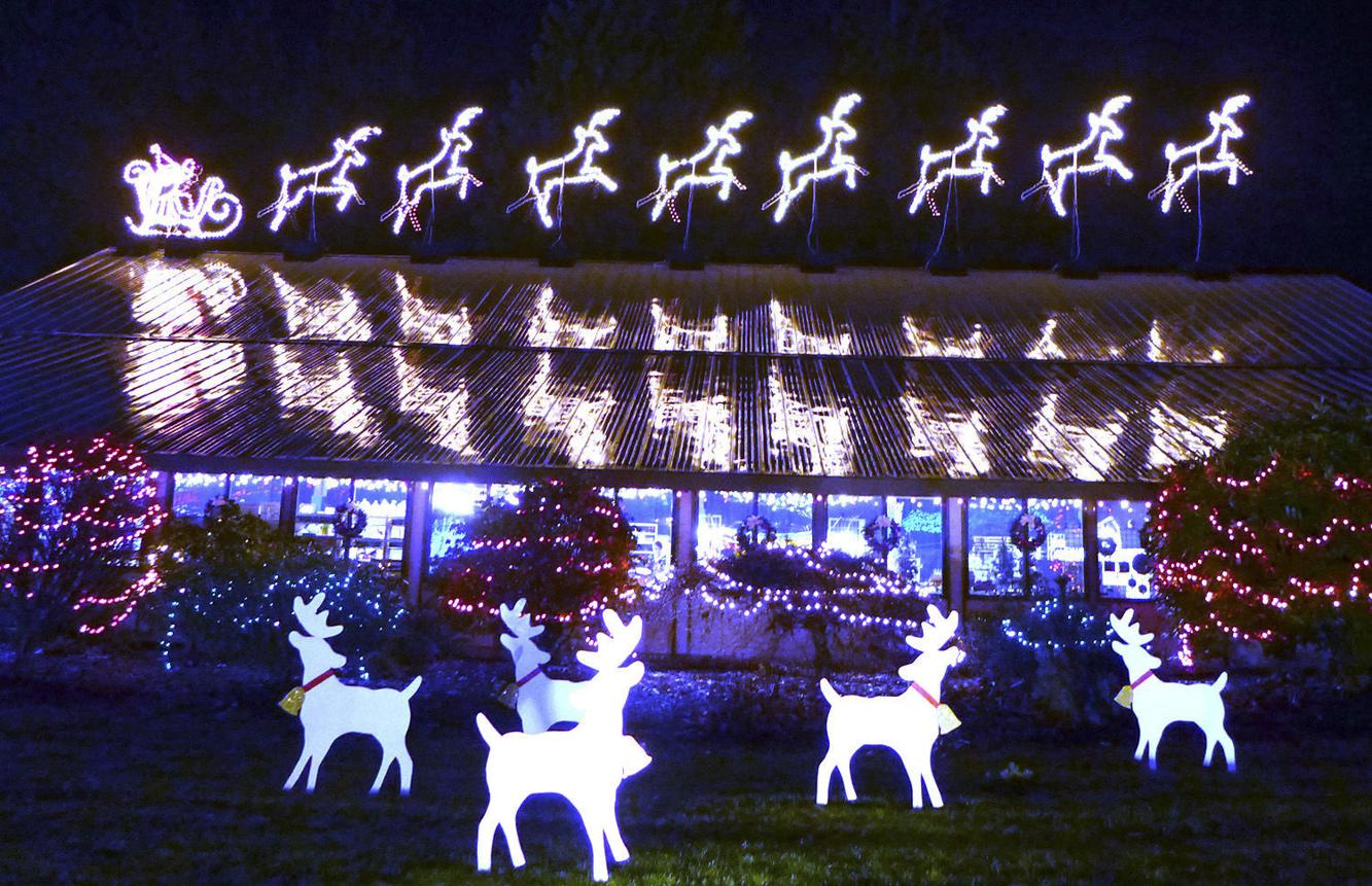 Lights of Christmas presents: A Drive-Thru Christmas | News | goskagit.com