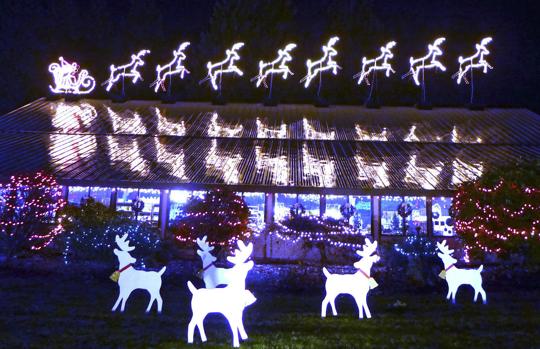 Lights of Christmas presents: A Drive-Thru Christmas | News | goskagit.com