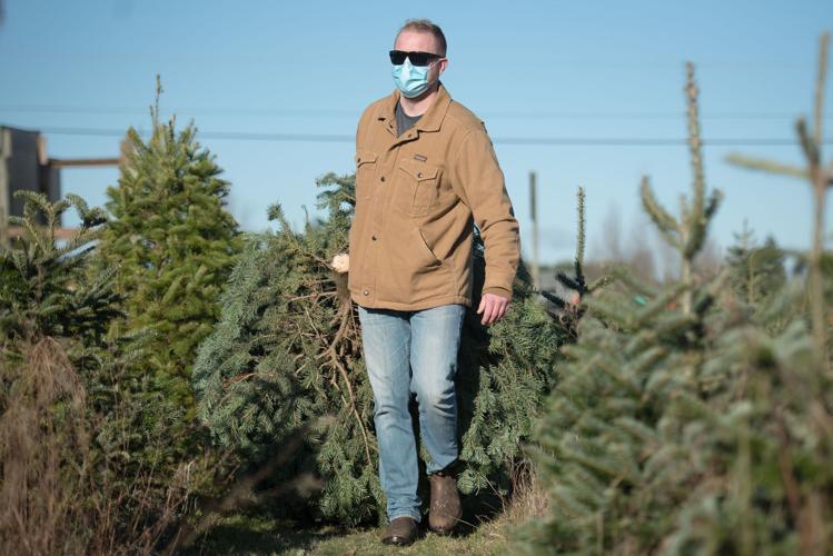 Business booming at Christmas tree farms Local News