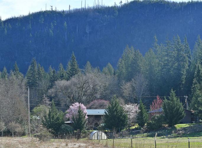 Marblemount mine proposal met with stiff opposition Local News